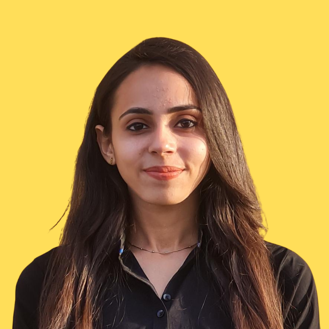 power bi developer